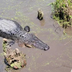 Gator Lake Park - Bay Minette