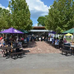 Avondale Brewing Company - Birmingham