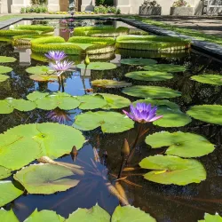 Birmingham Botanical Gardens - Birmingham