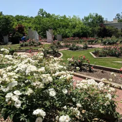 Birmingham Botanical Gardens - Birmingham