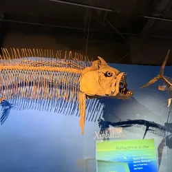 McWane Science Center - Birmingham