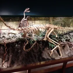 McWane Science Center - Birmingham