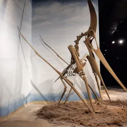 McWane Science Center - Birmingham