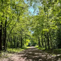 Red Mountain Park - Birmingham