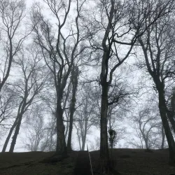 Florence Indian Mound and Museum - Florence