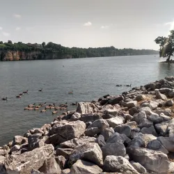 McFarland Park - Florence