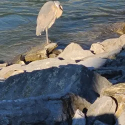 Tennessee Riverwalk - Florence