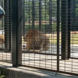 University of North Alabama - Florence