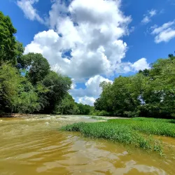 Tennessee River - Hamilton