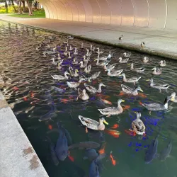 Big Spring International Park - Huntsville