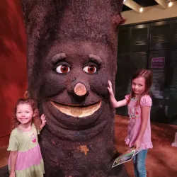 EarlyWorks Children's Museum - Huntsville