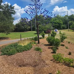 Huntsville Botanical Garden - Huntsville