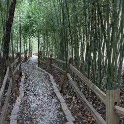 Monte Sano State Park - Huntsville