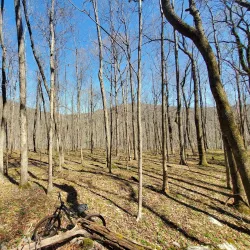 Monte Sano State Park - Huntsville