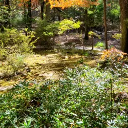 Monte Sano State Park - Huntsville