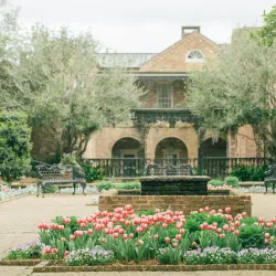 Bellingrath Gardens and Home - Mobile