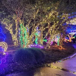 Bellingrath Gardens and Home - Mobile