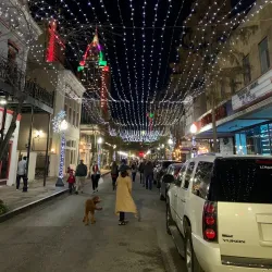 Dauphin Street Historic District - Mobile