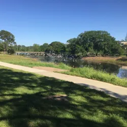 Langan Park - Mobile