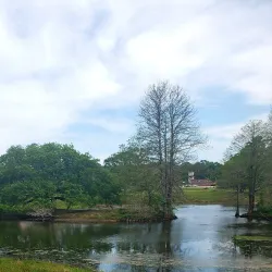 Langan Park - Mobile