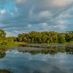 Langan Park - Mobile