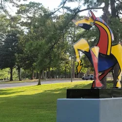 Langan Park - Mobile