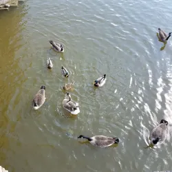 Blount Cultural Park - Montgomery