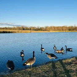 Blount Cultural Park - Montgomery