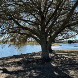 Blount Cultural Park - Montgomery