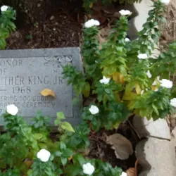 Dexter Avenue King Memorial Baptist Church - Montgomery