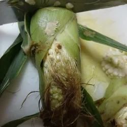 Northport Farmers Market - Northport