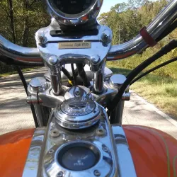 Northport Farmers Market - Northport