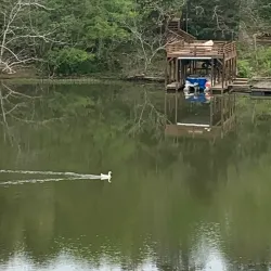 Northport Historic District - Northport