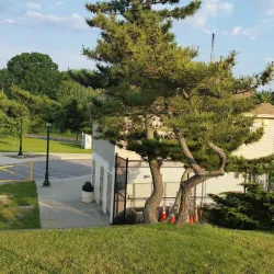 Northport Skate Park - Northport