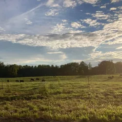 People enjoying the surroundings of Opelika