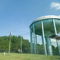 A vibrant street view in Opelika
