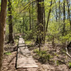 Chewacla State Park - Opelika