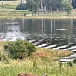 Grand National Golf Course - Opelika