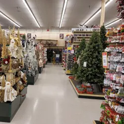 Tiger Town Shopping District - Opelika