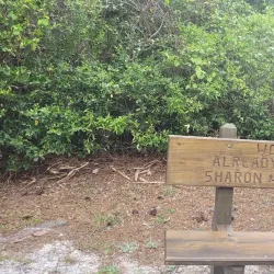 Backcountry Trail - Orange beach