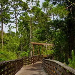 Backcountry Trail - Orange beach