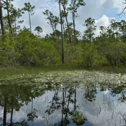 Backcountry Trail - Orange beach