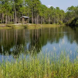 Backcountry Trail - Orange beach