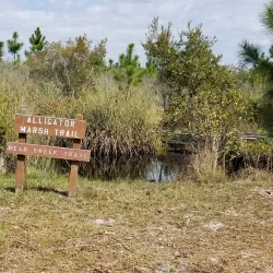 Backcountry Trail - Orange beach