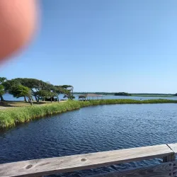 Gulf State Park - Orange beach