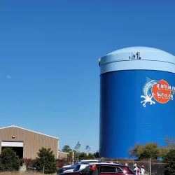 Gulf State Park - Orange beach