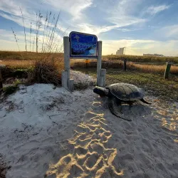 Gulf State Park - Orange beach