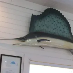 Orange Beach Indian & Sea Museum - Orange beach