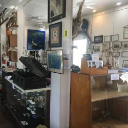 Orange Beach Indian & Sea Museum - Orange beach