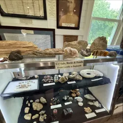 Orange Beach Indian & Sea Museum - Orange beach